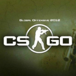 csgo實(shí)名認(rèn)證申請(qǐng)工具 v1.0 官方版 