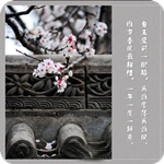 星語心戀app下載 v1.0 安卓版 