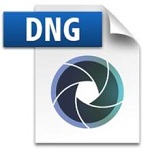 dng格式轉(zhuǎn)換器(adobe dng converter) v11.1 中文版 