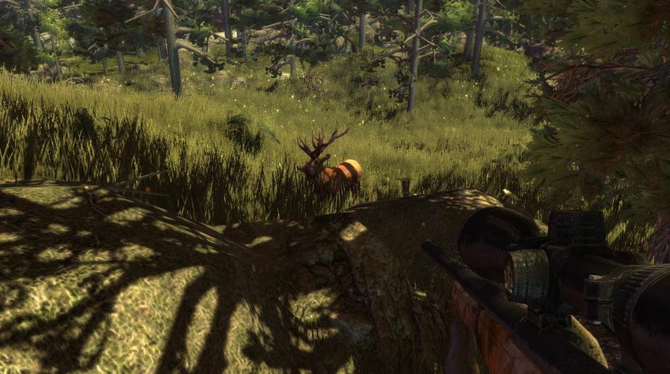 獵人的獎杯2澳大利亞