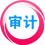 審計(jì)大師官方下載 v13.8.1 最新版 