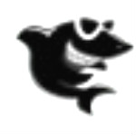 黑鯊裝機(jī)大師 v2.5.44.1220 官方版 