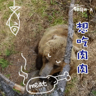 神奇的一天GIF表情包