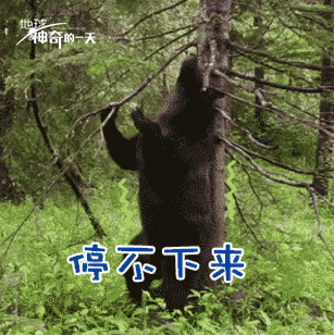 神奇的一天GIF表情包