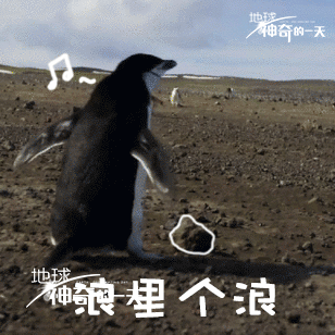 神奇的一天GIF表情包