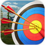 射箭大師3D無限金幣版下載  v2.3 安卓版 