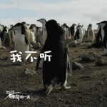 神奇的一天GIF表情包 免費(fèi)版 