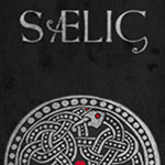 SAELIG 3DM漢化組漢化補(bǔ)丁下載 v1.0 綠色免費版 