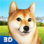 玩你的狗芝犬 v1.0 iphone版 