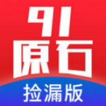 91原石 v1.0.1 安卓版 