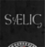 SAELIG游俠LMAO漢化補丁v1.0 免費版 