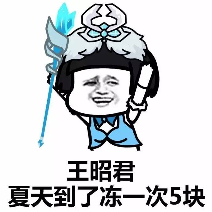 我王昭君凍一次五塊錢表情包