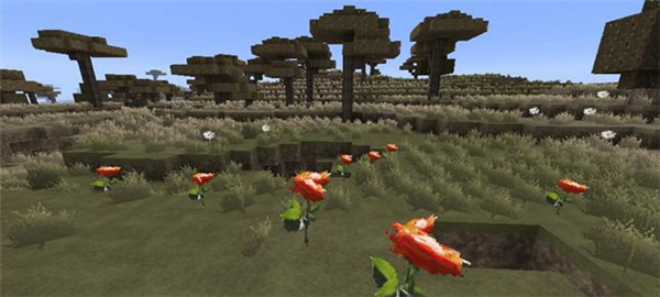 我的世界現(xiàn)實(shí)世界材質(zhì)包