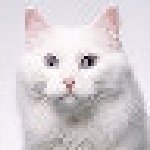 小白軟件管理系統(tǒng)下載 v4.2 官方版 