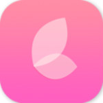 天天遇美 v0.8.2 安卓版 