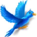 淘寶秒拍軟件 v1.1.0.3 免費(fèi)版 