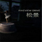 松景六項(xiàng)修改器 v4.5.2.26843 Yello版 