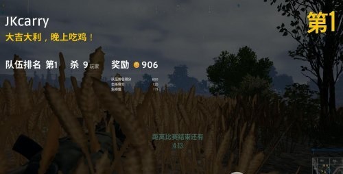 絕地求生去草叢補(bǔ)丁下載 v1.0 免費(fèi)版