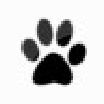 W10 LOGON BG Changer v1.3.0 最新版 