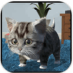 貓咪模擬器下載 v2.2.16 安卓版 