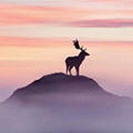 華生工具箱 v1.1 破解版 