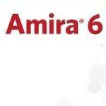 FEI Amira(三維分析軟件) V6.0.1 免費(fèi)版 