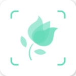 拍照識花app下載 v1.0 安卓版 