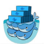 docker入門實(shí)戰(zhàn) pdf完整版 