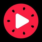 今日頭條西瓜視頻解析工具 v1.0 綠色免費(fèi)版 