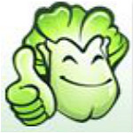 大白菜pe裝機工具 官方免費版 