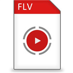 flv轉(zhuǎn)wmv V2.6 綠色版 