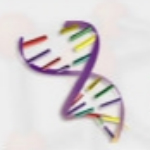 CloneMaster Advanced重復(fù)文件查找工具 v3.15 免費(fèi)版 