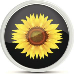 幼兒園財(cái)務(wù)信息管理系統(tǒng) v18.01.09 免費(fèi)版 