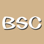 BSC Designer Light v9.0.6.97 免費(fèi)版 