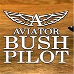 飛行員無人區(qū)任務下載 中文版 