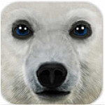 終極北極模擬器(ArcticSim) v1.1 安卓版 