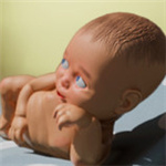 老媽模擬器游俠漢化補(bǔ)丁 V1.0 免費版 