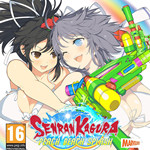 閃亂神樂(lè)沙灘戲水包含全DLC聯(lián)機(jī)補(bǔ)丁 綠色版 