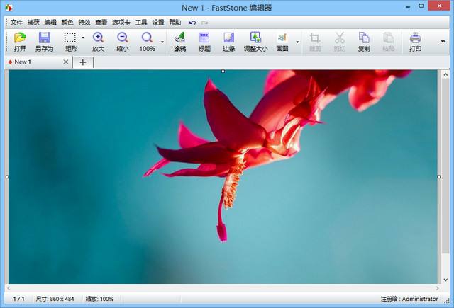 FastStone Capture下載