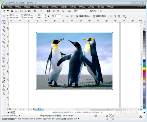 CorelDRAW X6中文版下載