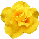 湖南衛(wèi)視直播軟件(在線看湖南衛(wèi)視直播) v1.0 官方最新版 