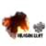 龍崖兩項(xiàng)修改器下載 免費(fèi)版 