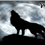 LOL天狼助手 3.1.6.5 最新版 