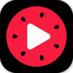 頭條視頻下載軟件 v0.5.1.5 免費版 
