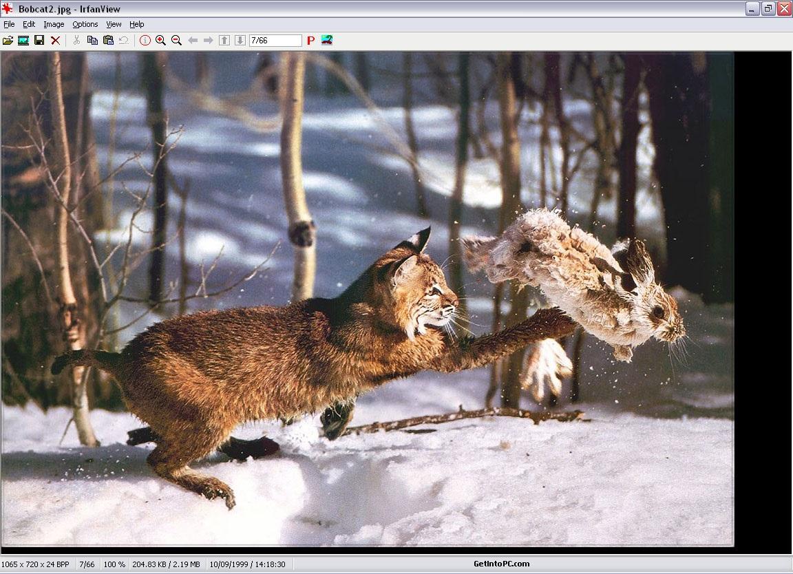 IrfanView中文版下載