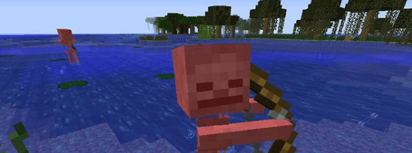 我的世界怕水骷髏MOD