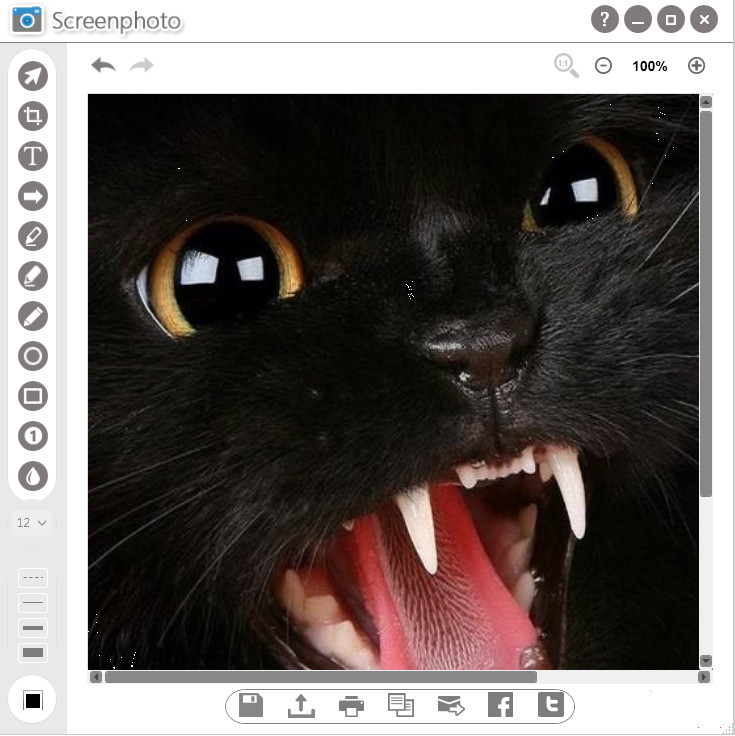 Screenphoto軟件下載