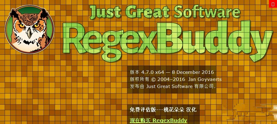 正則表達(dá)式測(cè)試工具(RegexBuddy)