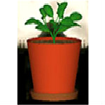 DesktopPlant v3.6.2 綠色版 