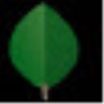 mongodb(開源數(shù)據(jù)庫) V2.60 英文綠色版[網(wǎng)盤資源] 